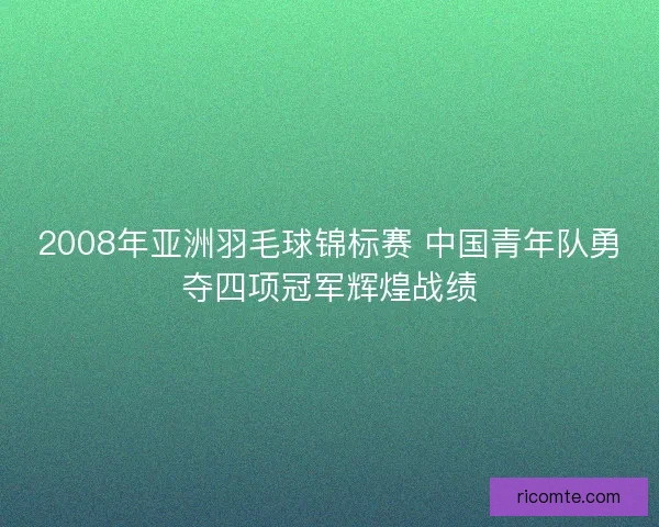 2008年亚洲羽毛球锦标赛 中国青年队勇夺四项冠军辉煌战绩