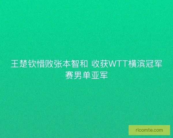 王楚钦惜败张本智和 收获WTT横滨冠军赛男单亚军