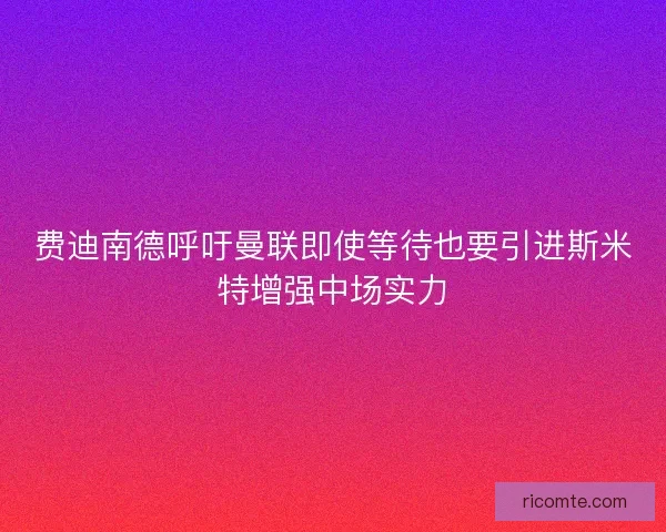 费迪南德呼吁曼联即使等待也要引进斯米特增强中场实力