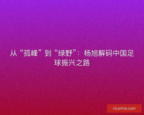 从 “孤峰” 到 “绿野”：杨旭解码中国足球振兴之路